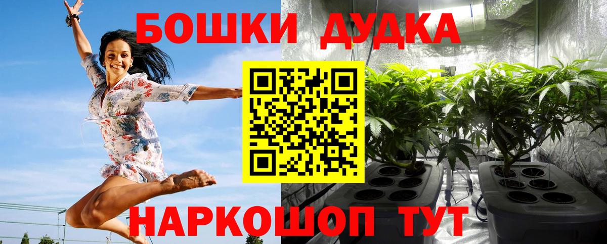 МАРИХУАНА White Widow Зима